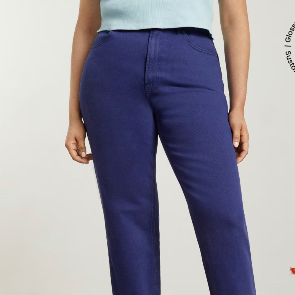Everlane Curvy Way High Jeans - Purple, size 30